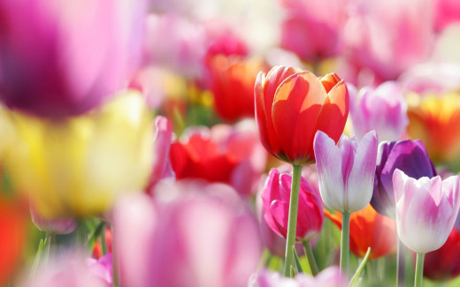 946854 (a): :2560x1600